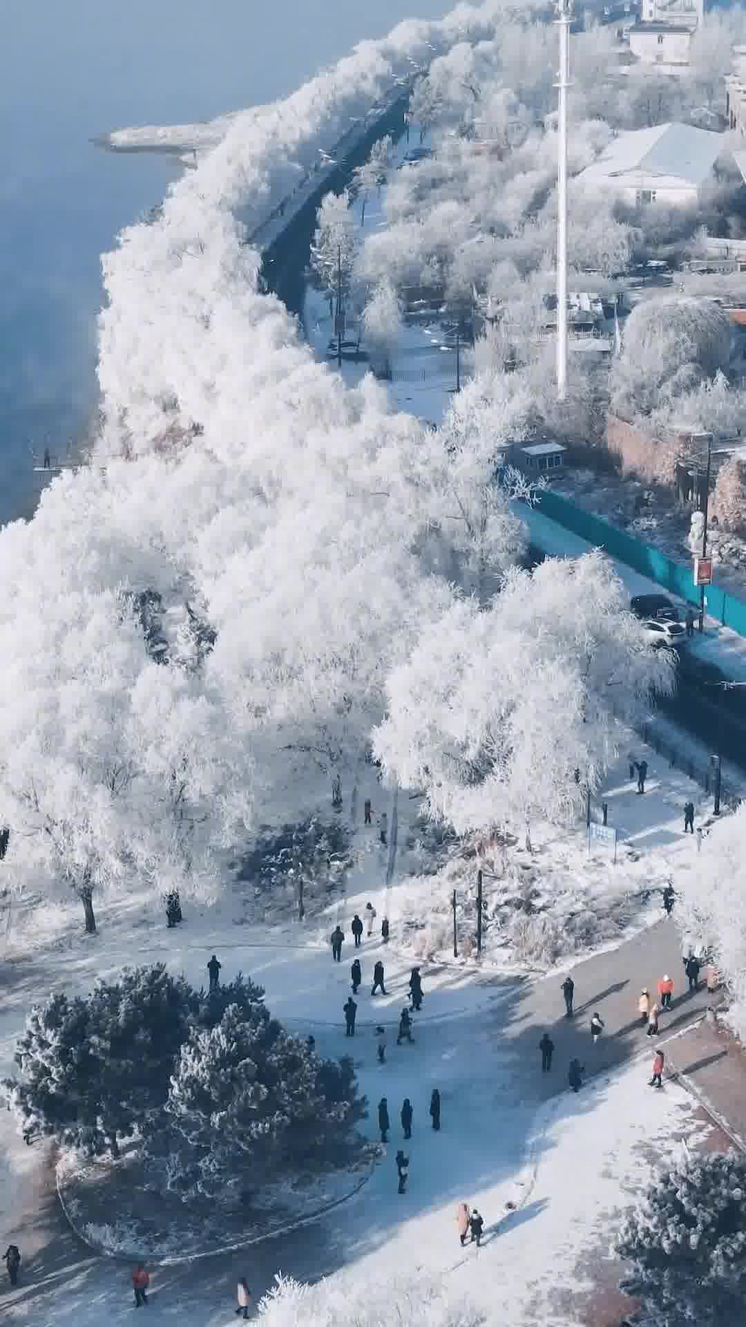 吉林之光,高科技产品照亮未来,科技与生活共舞