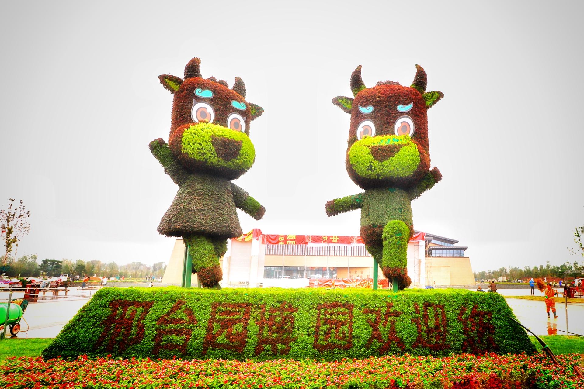 千年古郡邢台焕新颜,绿色崛起进行时